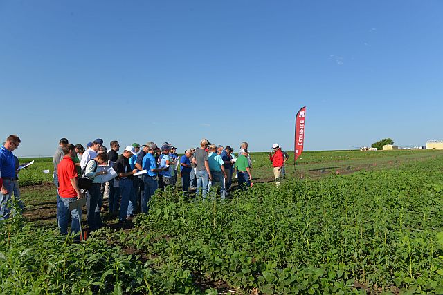 Weed Management Field Day