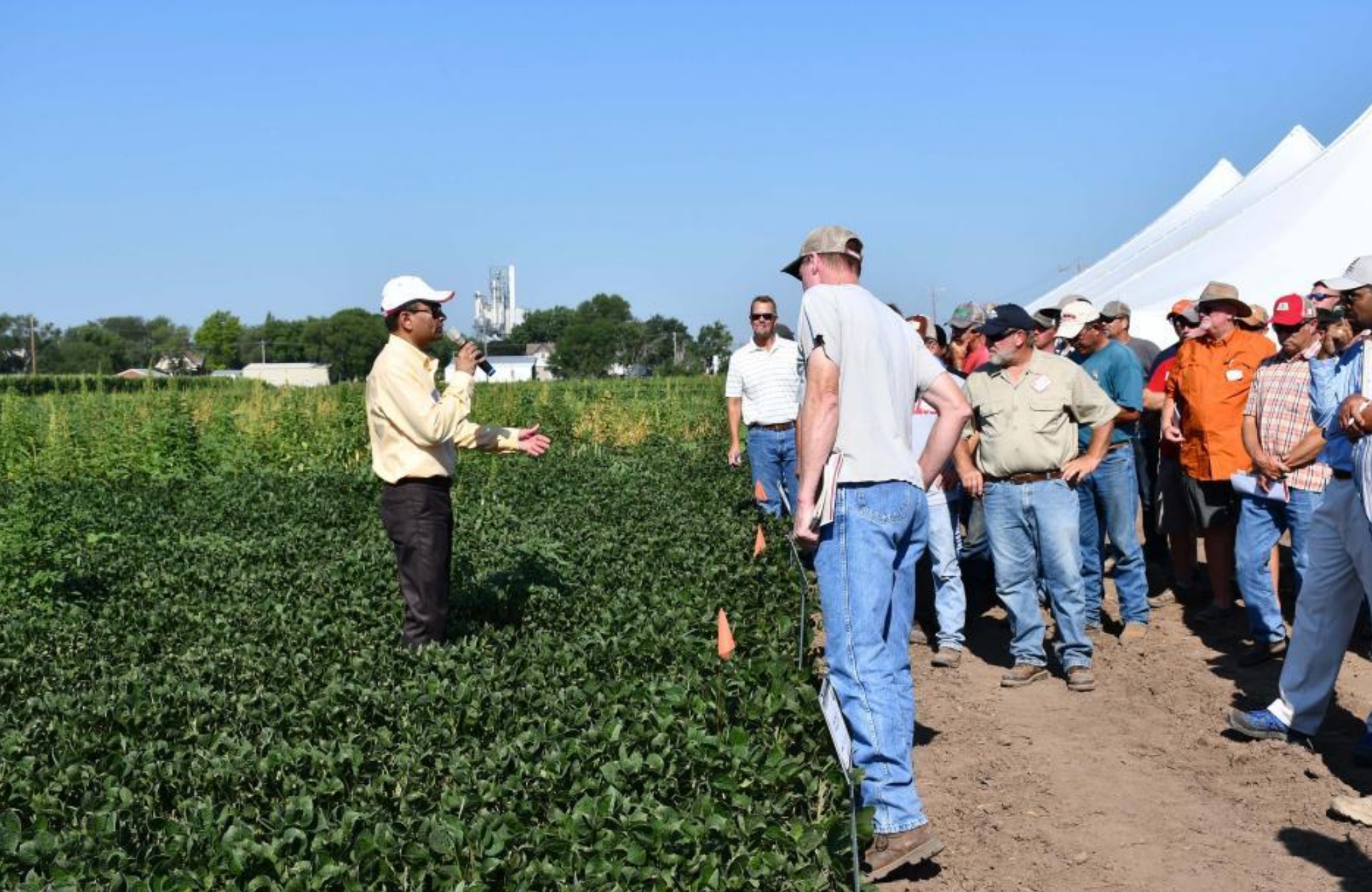 SCAL Weed Management Field Day