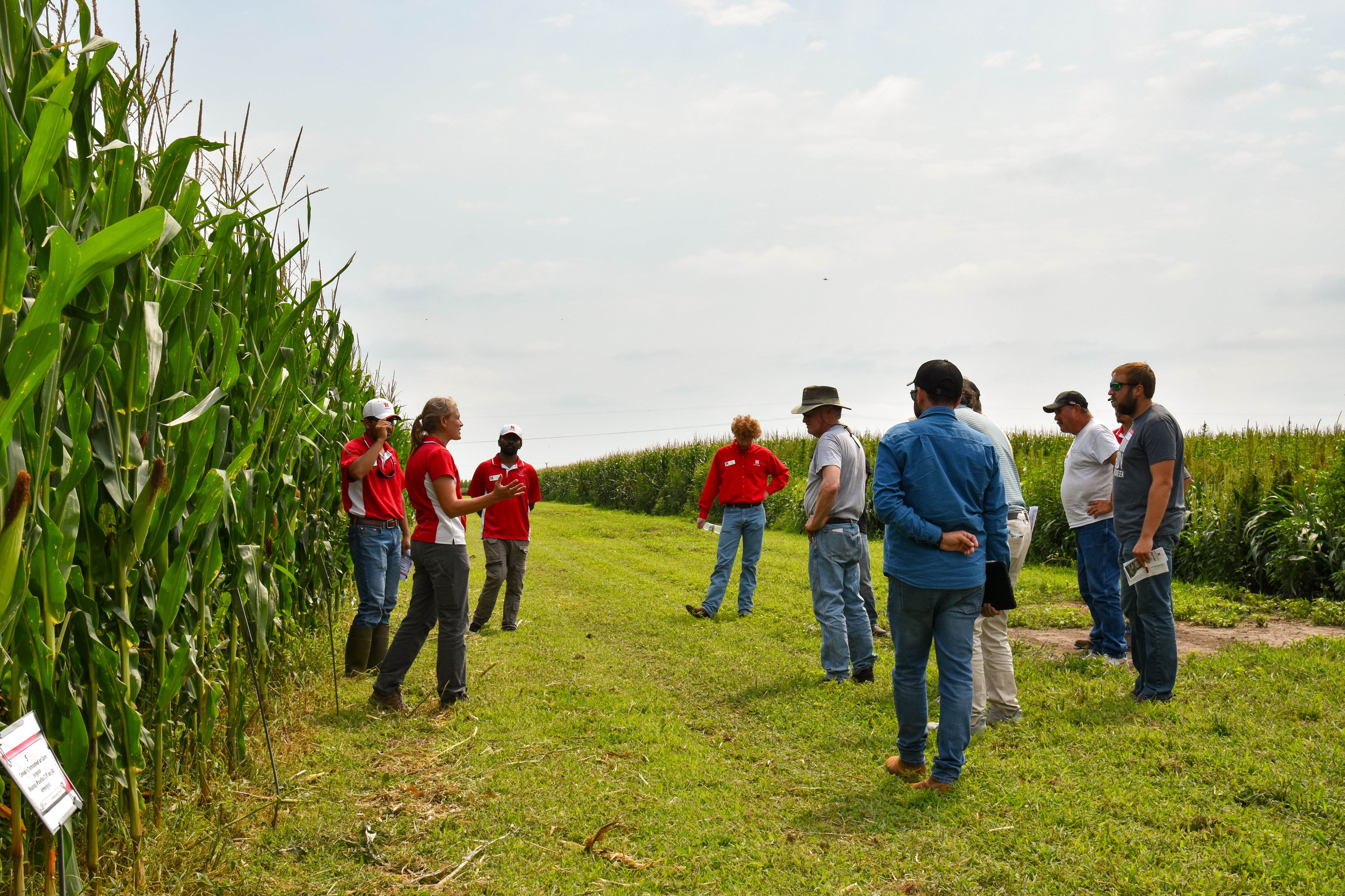 Field day participants standing near cornfield, listening to a speaker on a sunny day. 